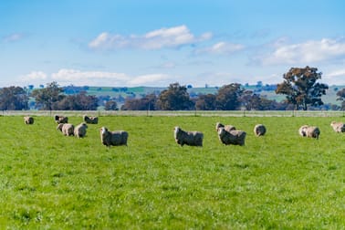 6 Dudauman Road Stockinbingal NSW 2725 - Image 2