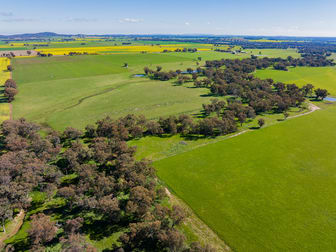 6 Dudauman Road Stockinbingal NSW 2725 - Image 1