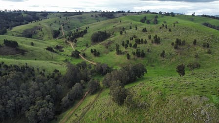 Portion of Cundinup-Dudinyillup Road Nannup WA 6275 - Image 1