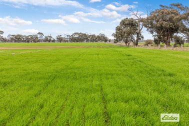 Sweeneys Lane Bridgewater VIC 3516 - Image 3