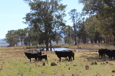 128 Homan Road Killarney QLD 4373 - Image 2