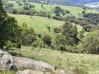 1861 Pembroke Road Cassilis NSW 2329 - Image 1