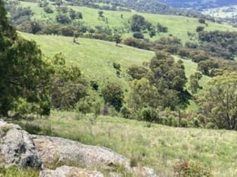 Click to view all images 1861 Pembroke Road Cassilis NSW 2329 - Image 1