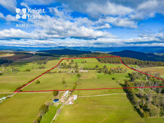 137 Sharmans Road Dunorlan TAS 7304 - Image 1