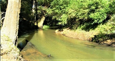 135 Killaloe Road Kyogle NSW 2474 - Image 3