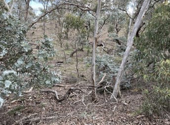 266 Strawberry Creek Road Windellama Goulburn NSW 2580 - Image 3