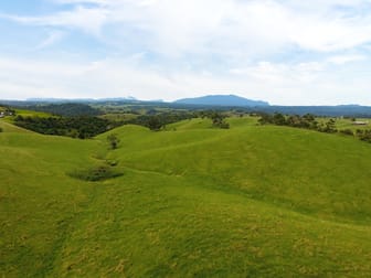 Tarzali QLD 4885 - Image 2