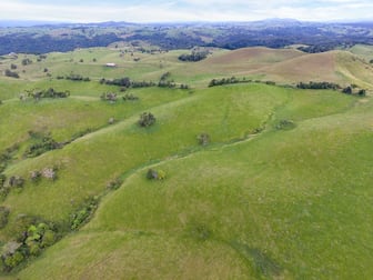 Tarzali QLD 4885 - Image 1