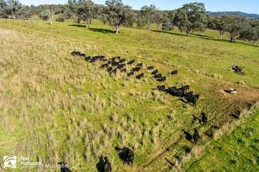 3146 Lue Road Mudgee NSW 2850 - Image 3