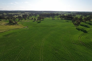 970 Talbot Road Talbot WA 6302 - Image 1