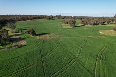 970 Talbot Road Talbot WA 6302 - Image 3