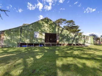 68 Sandy Point Road Somers VIC 3927 - Image 3