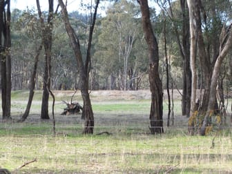 1 & 158 Apple Jack Road Dunolly VIC 3472 - Image 3