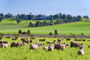 Upside Farm, 104 Flowerdale Road Wagga Wagga NSW 2650 - Image 1