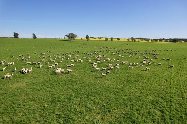 Upside Farm, 104 Flowerdale Road Wagga Wagga NSW 2650 - Image 1