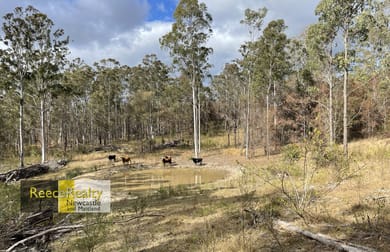 Click to view all images Lot 597 Willi Willi Road Temagog NSW 2440 - Image 1