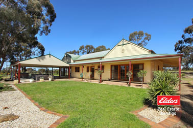 58 Hilltop Drive Eppalock VIC 3551 - Image 1