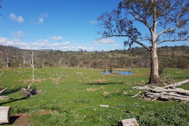 900 Swanston Road Swanston TAS 7120 - Image 1