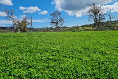 900 Swanston Road Swanston TAS 7120 - Image 2
