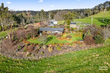 13 Gibsons Road Riverside TAS 7250 - Image 3