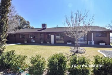 52 Osterley Tce Inverell NSW 2360 - Image 1