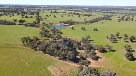 135 Spillman Road Bindoon WA 6502 - Image 3