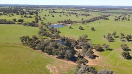 135 Spillman Road Bindoon WA 6502 - Image 3