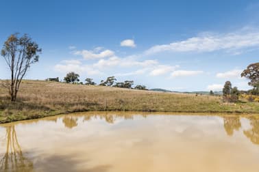 1045 Dairy Flat Road Tooborac VIC 3522 - Image 2