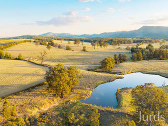Lot 40 Gillards Road Pokolbin NSW 2320 - Image 2