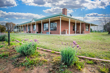 1610 Henty Walla Road Culcairn NSW 2660 - Image 1