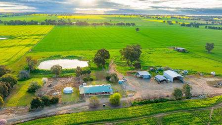 1610 Henty Walla Road Culcairn NSW 2660 - Image 2