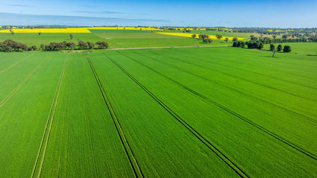 1610 Henty Walla Road Culcairn NSW 2660 - Image 3