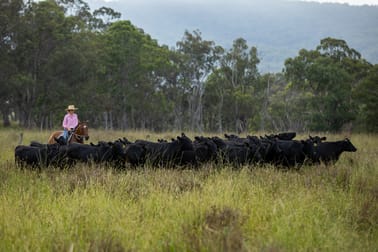 1259 Bald Rock Road Tenterfield NSW 2372 - Image 3