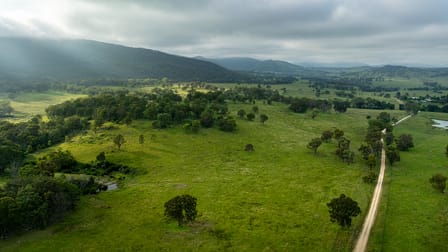 1259 Bald Rock Road Tenterfield NSW 2372 - Image 1