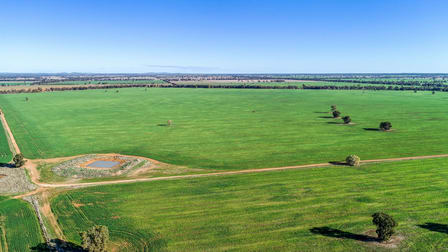 Omagh View 1667 Alagala Road Tullamore NSW 2874 - Image 1