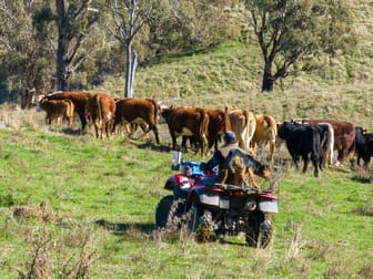 2863 Hobbys Yards Road Blayney NSW 2799 - Image 2