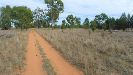 'Brookfield' 640 Carrington Road Roma QLD 4455 - Image 2