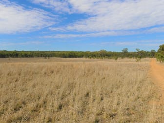 'Brookfield' 640 Carrington Road Roma QLD 4455 - Image 3