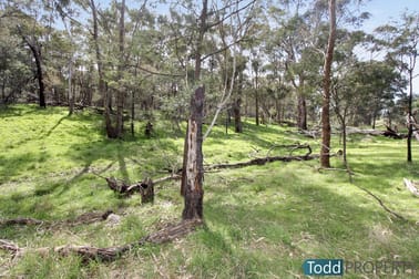330 Paddys Dam Road Tooborac VIC 3522 - Image 2