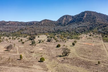 6199 Bylong Valley Way Bylong NSW 2849 - Image 3