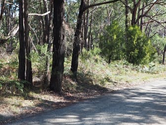 Lot 3 Brewsters Road Yinnar South VIC 3869 - Image 2