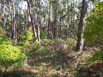 Lot 3 Brewsters Road Yinnar South VIC 3869 - Image 3