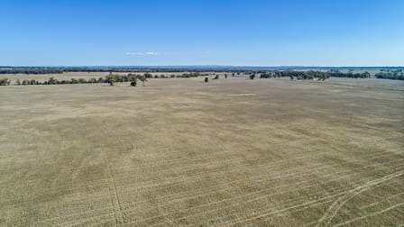 90R Mogriguy Road Brocklehurst NSW 2830 - Image 1