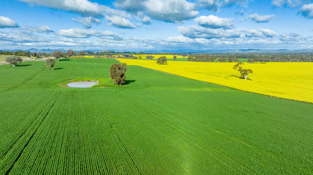 252 Bethel Road Burrumbuttock NSW 2642 - Image 3