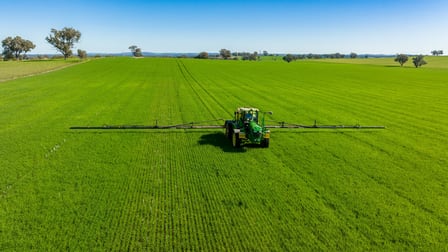 DUNOON – Holbrook Culcairn NSW 2660 - Image 2