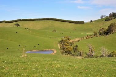 375 Devils Pinch Road Toora VIC 3962 - Image 2