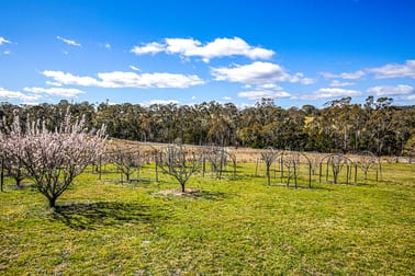 4873 Oallen Ford Road Bungonia NSW 2580 - Image 3