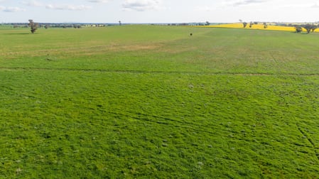 Kincora & Poachers Millwood Road Coolamon NSW 2701 - Image 3