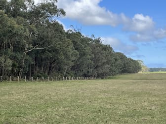 Lot 1 Cobden-Warrnambool Road Naringal East VIC 3277 - Image 1