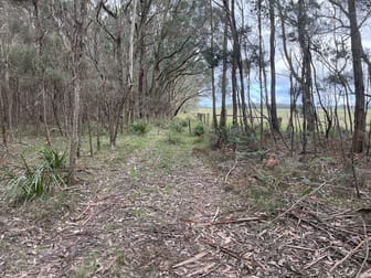 Lot 1 Cobden-Warrnambool Road Naringal East VIC 3277 - Image 2